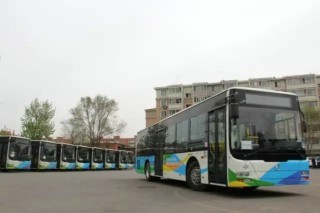 Golden Dragon Bus Fleet Plays an Essential Role in Shenyang Public Transport