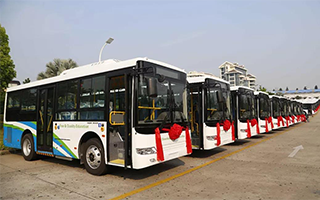 Golden Dragon Export Volume Exceeds 60,000 Units