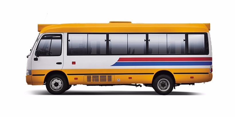 Electric Mini Buses: Dragon Kast City Bus