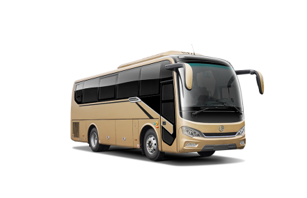 Triumph  Pro  Series